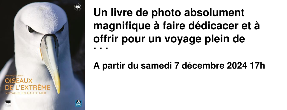 Un livre de photo absolument magnifique � faire d�dicacer et � offrir pour un voyage plein de d�couvertes et d'�motions avec les oiseaux de haute mer ! Samedi 7 d�cembre � 17h au Brouillon de culture, le photographe Arnaud Gu�rin viendra pr�senter et d�dicacer son livre � Oiseaux de l'extr�me, un voyage en haute mer �, publi� aux �ditions la Martini�re.